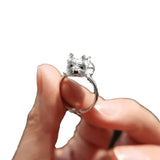 Verstelbare Retro Stijl Ring voor Honden